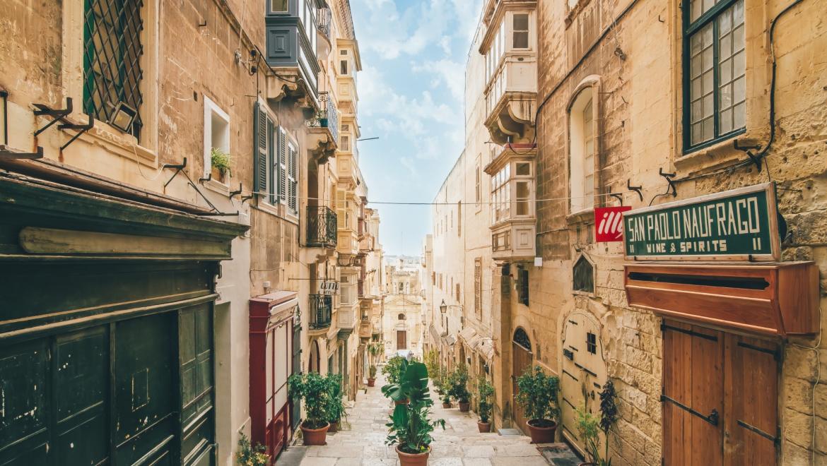 Высшее образование на Мальте | Grant Study